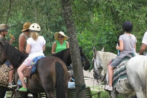 a group of people riding on the back of a brown horse
