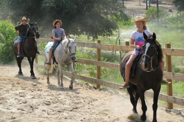 a group of people riding on the back of a brown horse
