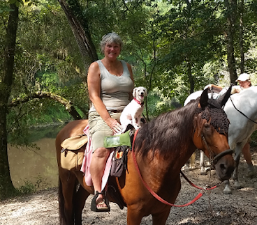 a person riding a horse in a forest