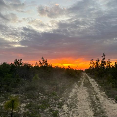 a view of a city at sunset